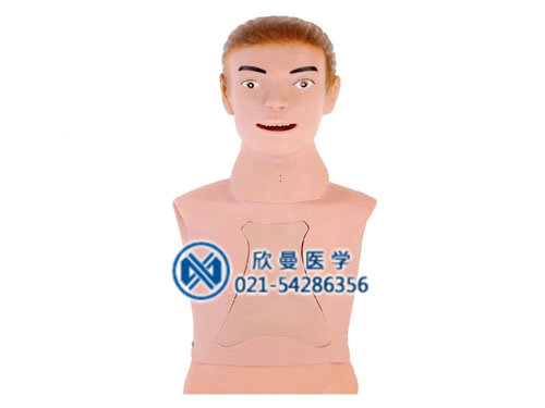 鼻飼模型，鼻胃管與氣管護(hù)理模型