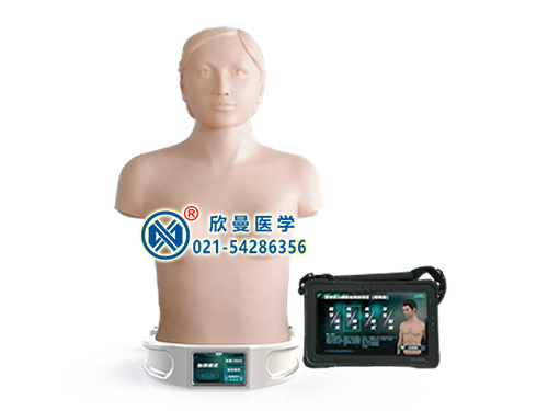XM-CPAD3000便攜式心肺聽(tīng)觸診競(jìng)訓(xùn)模擬人系統(tǒng)