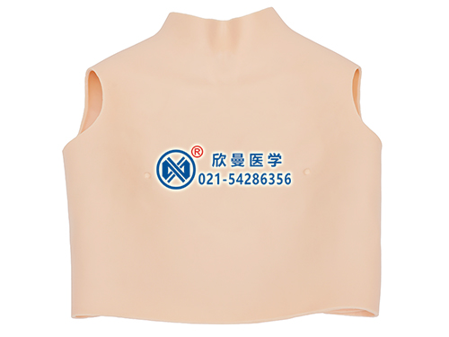 心肺聽診訓(xùn)練模型(背心式)