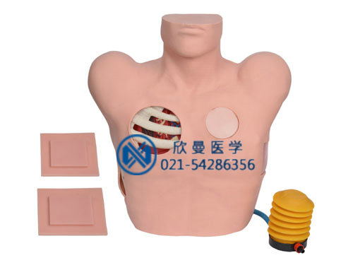 胸腔穿刺及對(duì)比模型