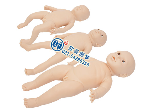 XM-YEF新生兒生長(zhǎng)發(fā)育指標(biāo)測(cè)量仿真模型