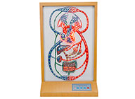 大、小循環(huán)電動(dòng)模型