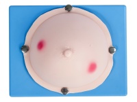 乳腺膿腫檢查切開(kāi)操作模型